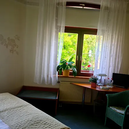 Logis Stadt Neustadt 4*